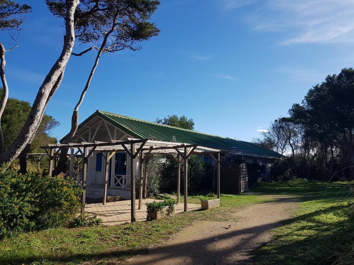Le Studio De Giens Hyeres Exterior photo