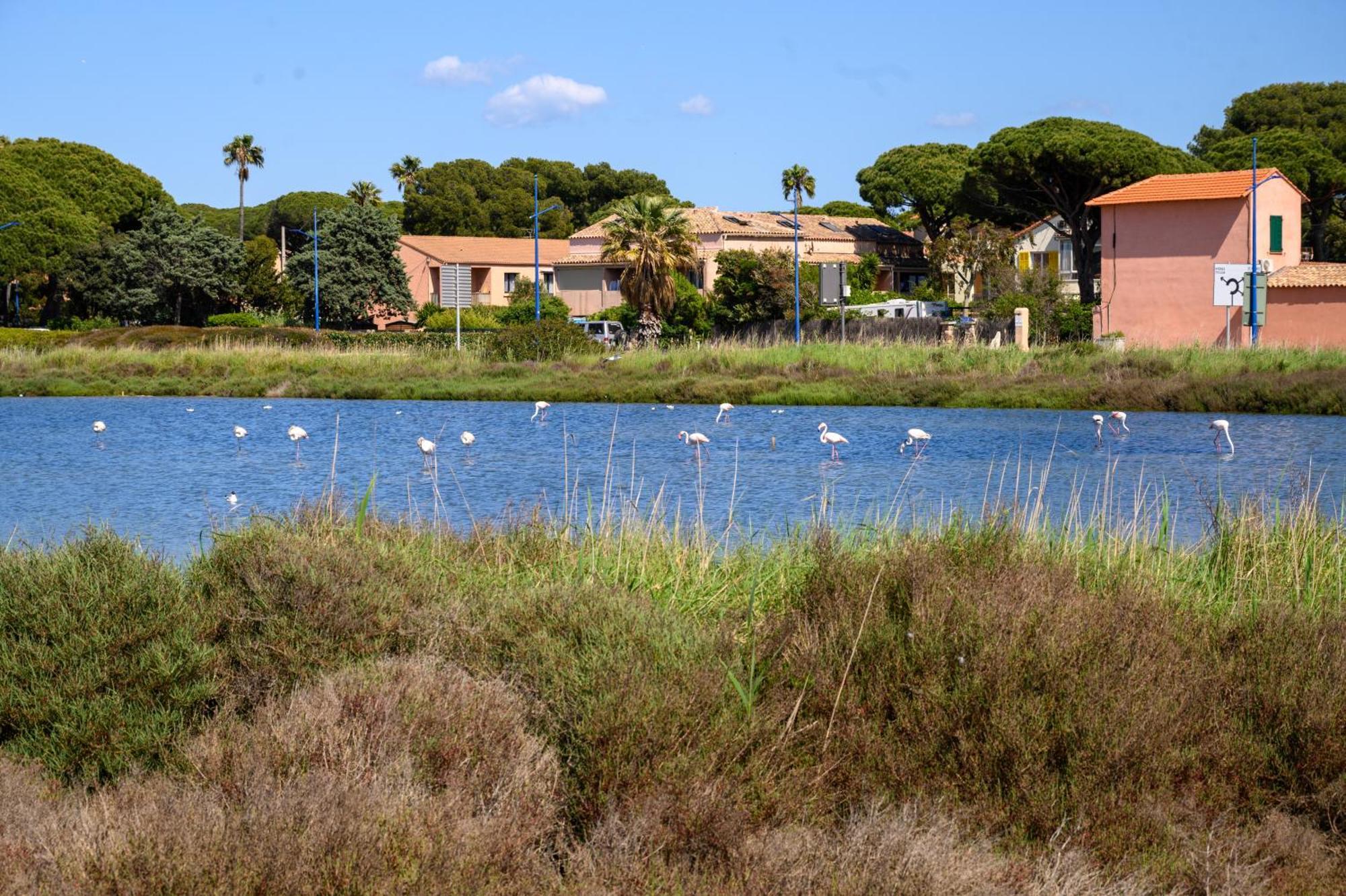 Le Studio De Giens Hyeres Exterior photo
