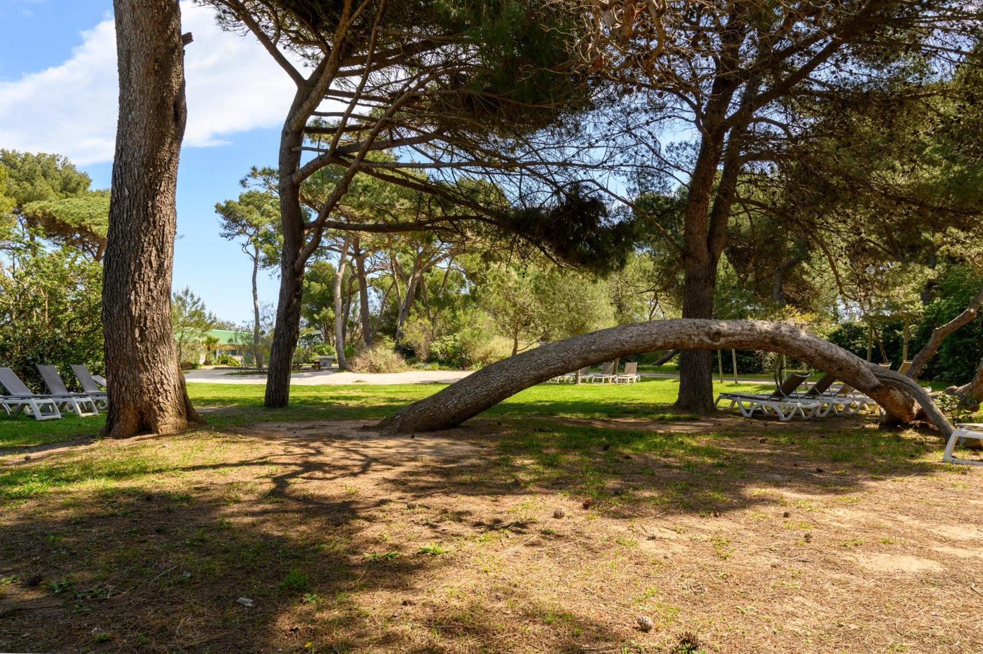 Le Studio De Giens Hyeres Exterior photo
